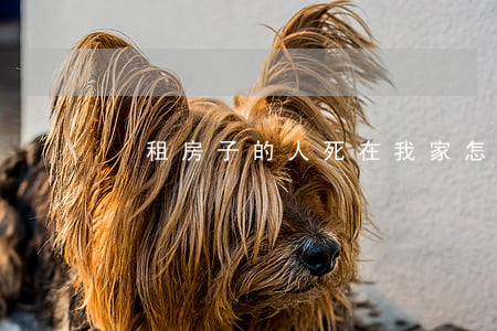  租房子的人死在我家怎么處理？